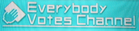 Wii Channel: Everybody Votes