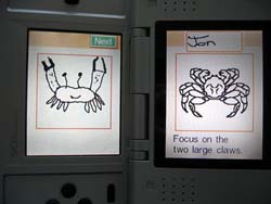 Focus on the two large claws