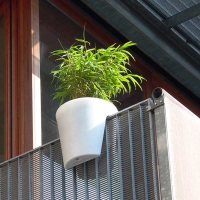 Steckling Pot detail